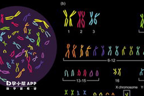 男方染色体异常可以做三代试管