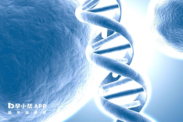 葡萄胎备孕可以查染色体