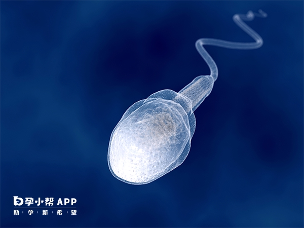 柳州没有能做供精人工授精的医院