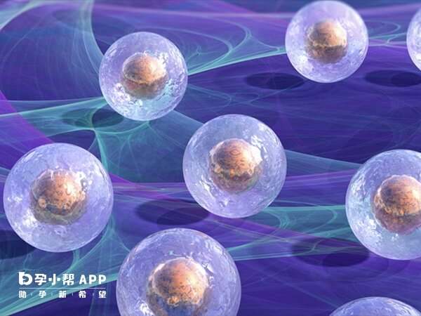 广州供卵需求大