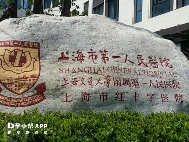 上海市供卵试管婴儿医院