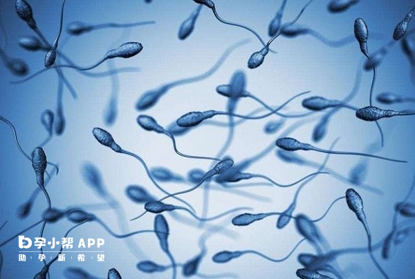 严重的少精弱精症吃生蚝不能治疗好
