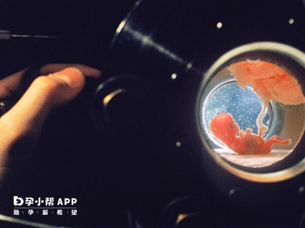 人造子宫生孩子还实现不了