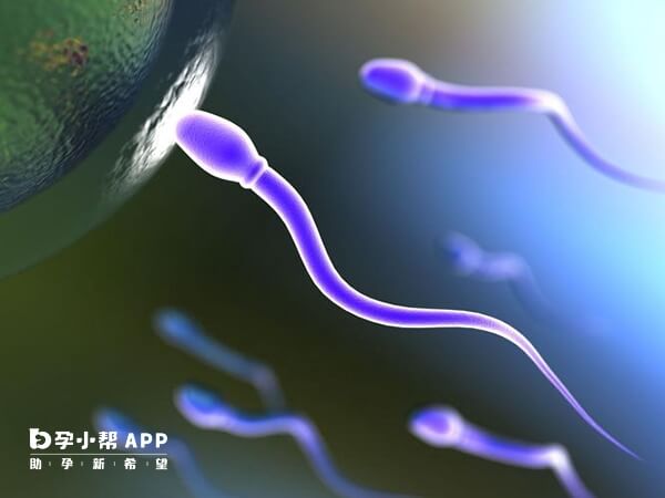 上海仁济医院设有精子库