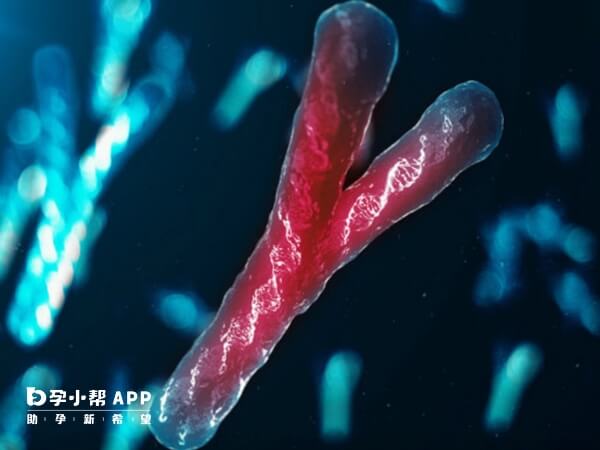 Y染色体异常分为数目和结构异常