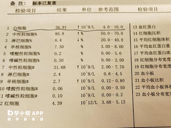 白细胞高或影响着床