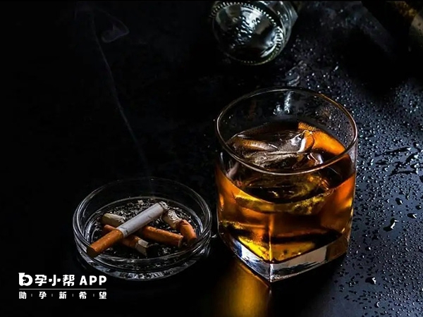 备孕期间要忌烟酒