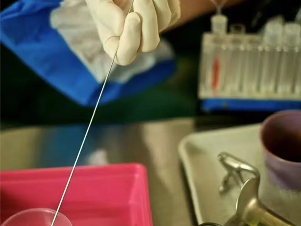 取卵13个为什么配不成胚胎