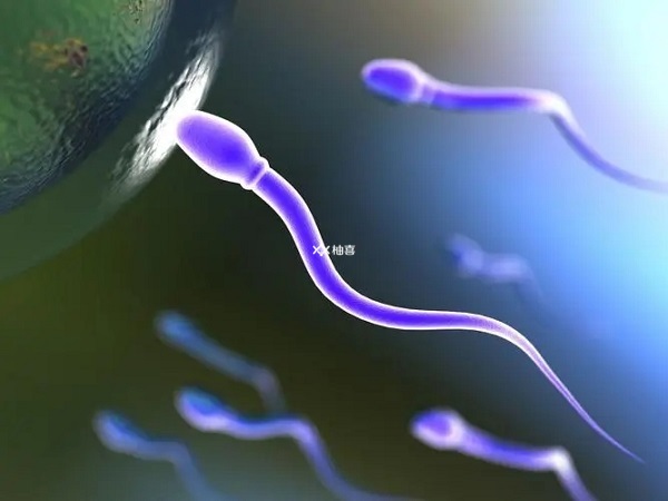 二代试管对男性的精子活力有要求