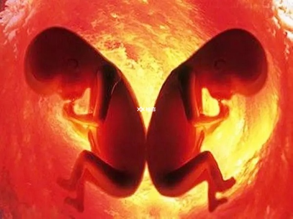 来曲唑促排能增加怀双胎的几率