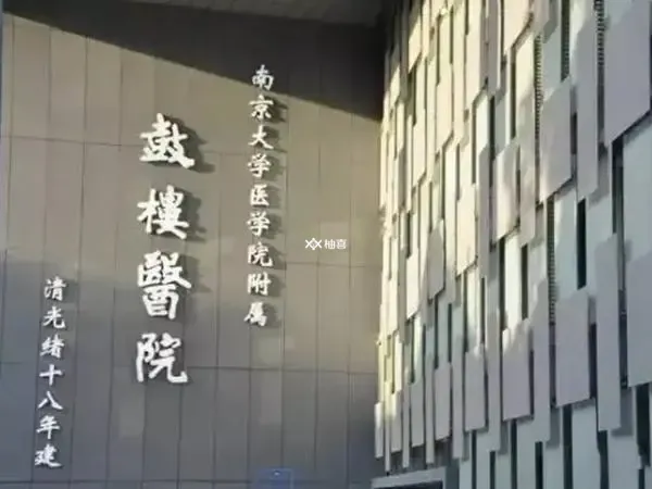 南京鼓楼医院试管成功率