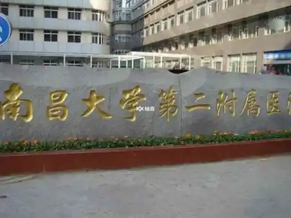 南昌大学二附院试管婴儿成功率