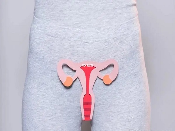卵巢早衰指女性因卵巢功能衰退导致的闭经