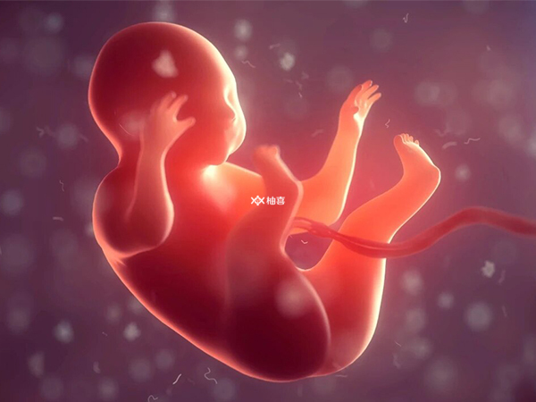 孕31周胎儿臀位能顺产