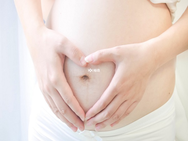 怀孕中期饮食指南