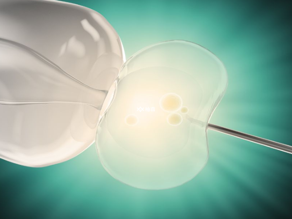 短效长方案利于鲜胚移植
