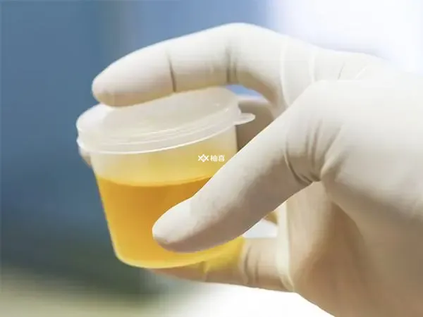 小便清澈怀男孩几率大不大