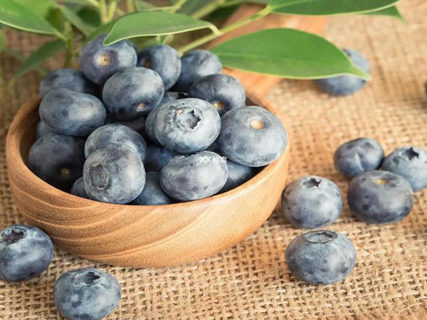 卵巢囊肿可不可以吃蓝莓