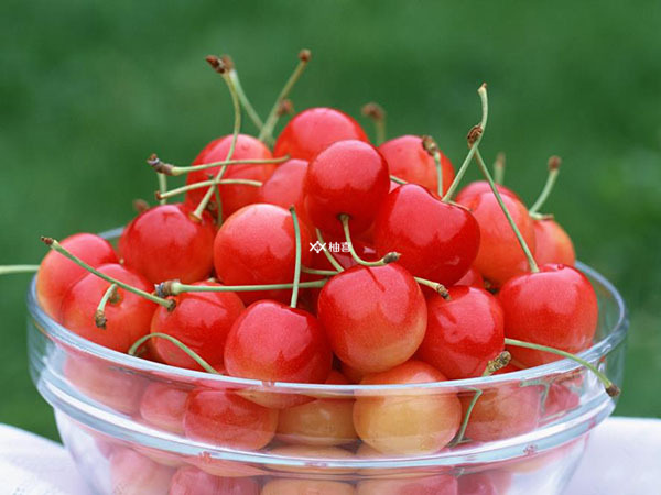 尿酸高吃樱桃能不能降尿酸