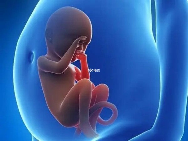 怀男孩的胎动表现