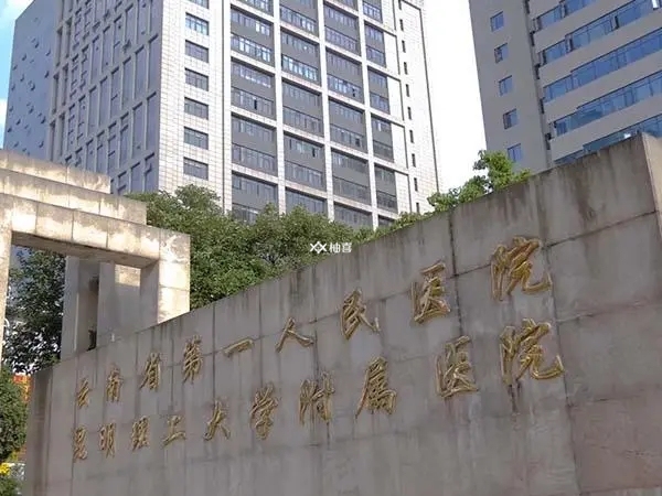 云南省第一人民医院做无创多少钱