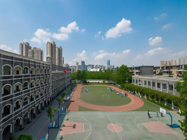 郑州小学信息采集怎么报名