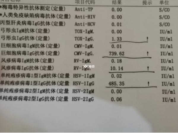 单纯疱疹2型igg阳性是否很普遍