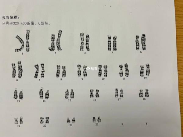 基因杂合变异要不要做供精试管