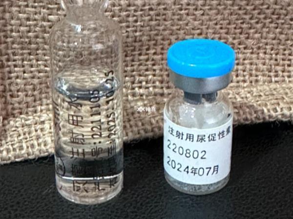 打了促排卵针卵泡不长怎么办