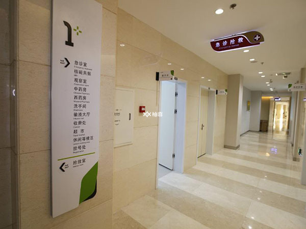 穿刺取精收费是多少