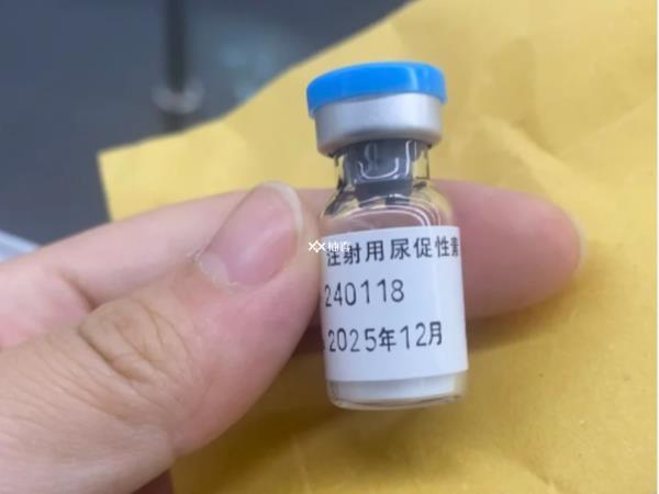 丽申宝和尿促性素同时打好不好