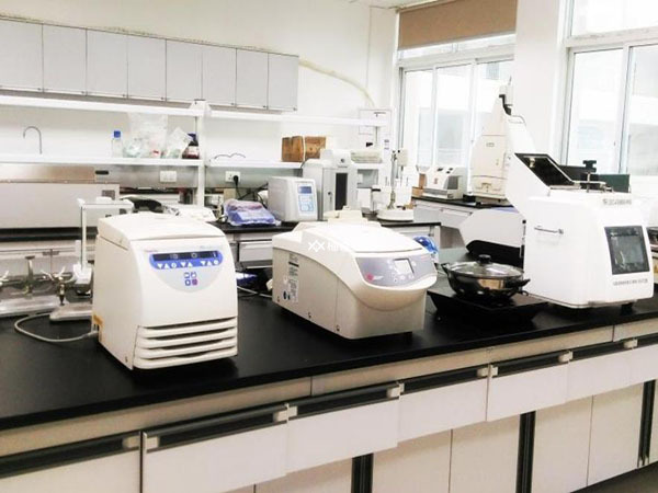 内膜种植窗移植成功率大不大