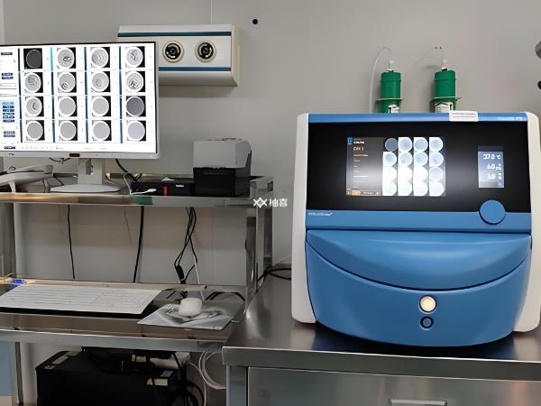 囊胚3ab和5ba移植成功率多高
