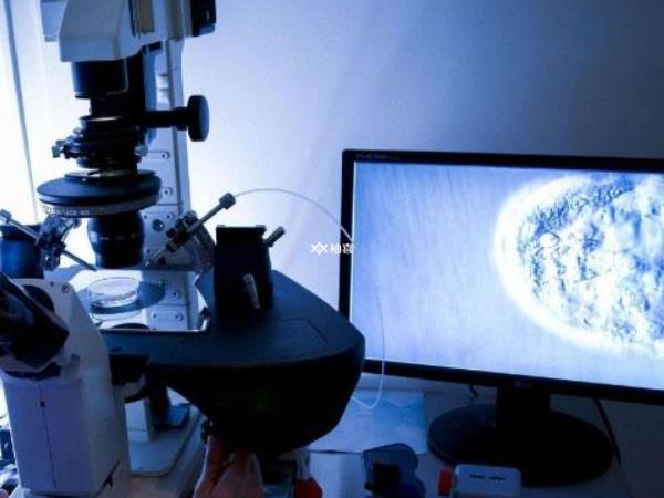 一级胚胎不养囊是不是风险高