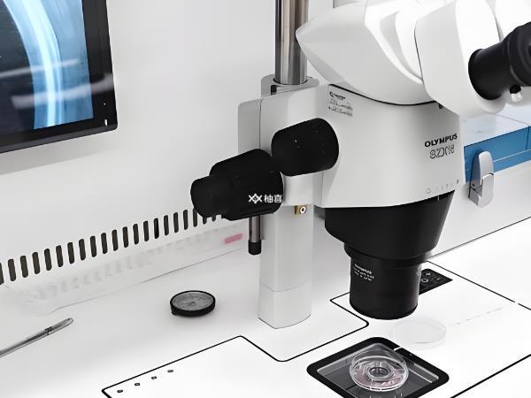 养囊失败移植2级冻胚能否怀孕