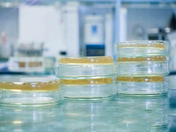 取卵大约需要花多少钱