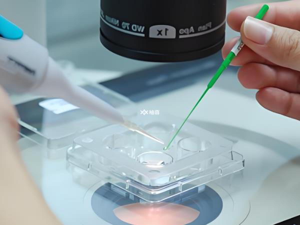 女性平衡易位做试管好不好