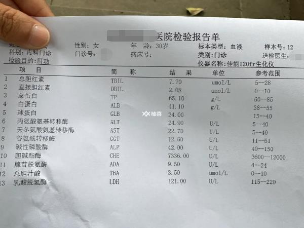 试管移植肝功转氨酶高有无影响