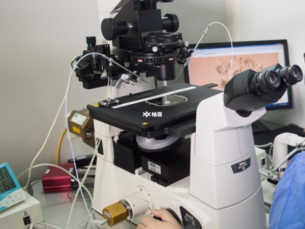 囊胚3ab和5ba能不能成功着床