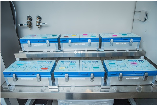 选择三代试管医院的妙招