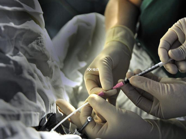 取卵后胚胎培育失败的原因