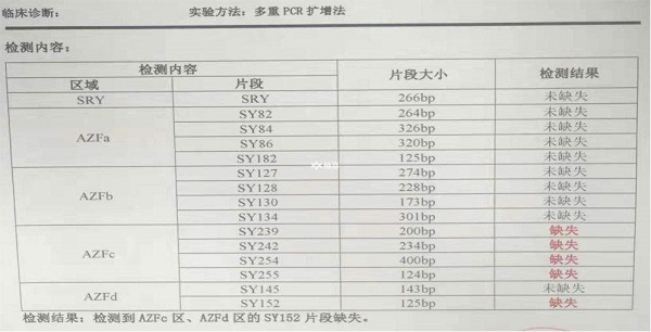 试管前男方检查项目