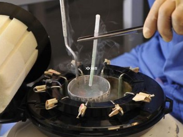 试管婴儿受精失败的几率有多大