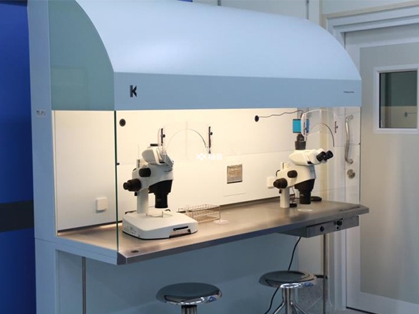 影响试管移植成功率的因素