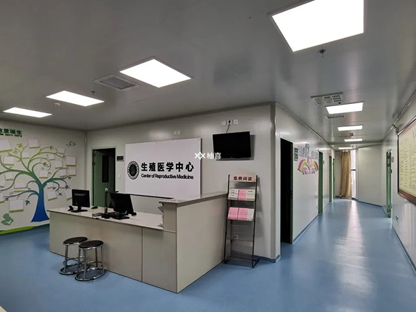 年龄会不会影响试管成功率