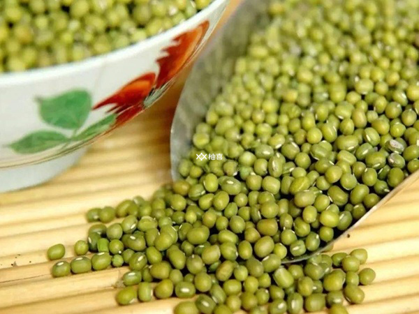 冻胚移植后能不能吃绿豆