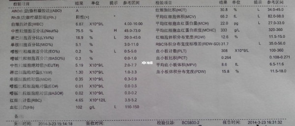 患地贫能不能做三代试管婴儿