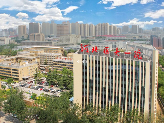 石家庄试管婴儿成功率多少