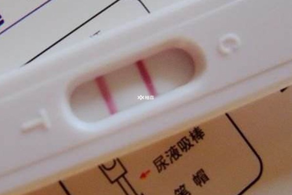 鲜胚着床成功后该怎么做