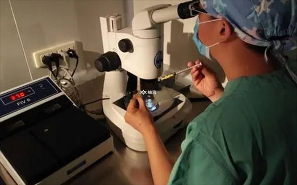 取卵后出血和内分泌有没有关